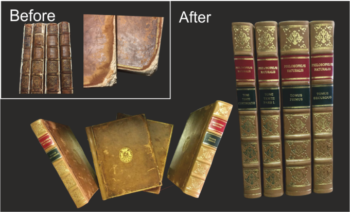 Antiquarian book repair